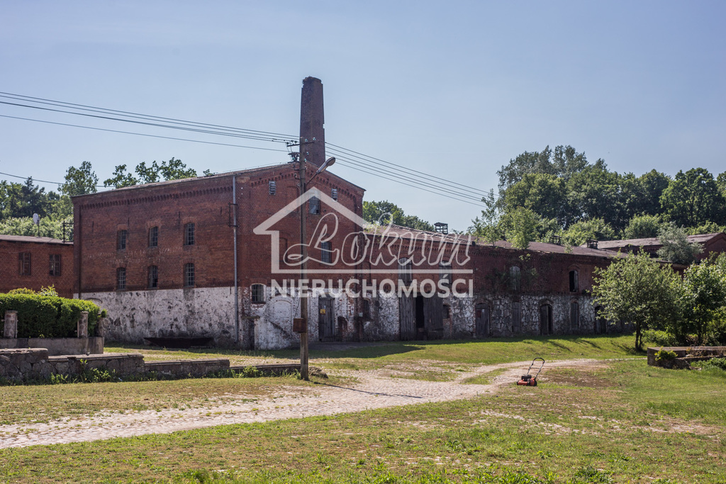 Dom 600 m², Przybysław - zdjęcie 9