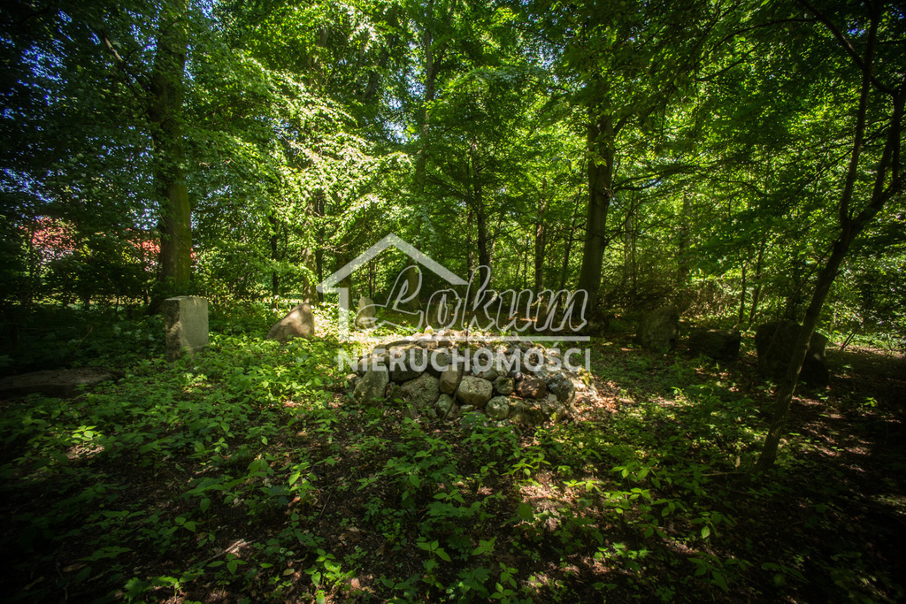 Dom 600 m², Przybysław - zdjęcie 10