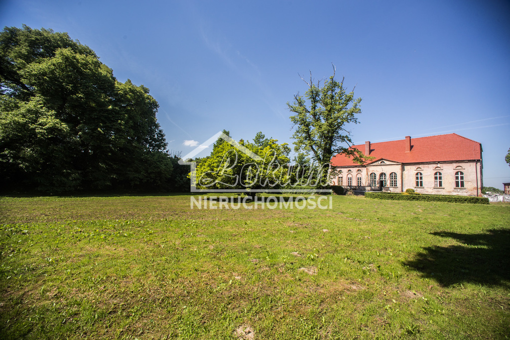 Dom 600 m², Przybysław - zdjęcie 3