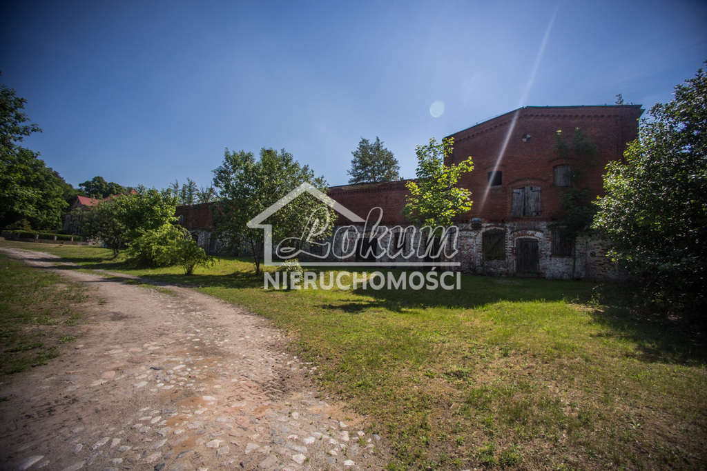 Dom 600 m², Przybysław - zdjęcie 12