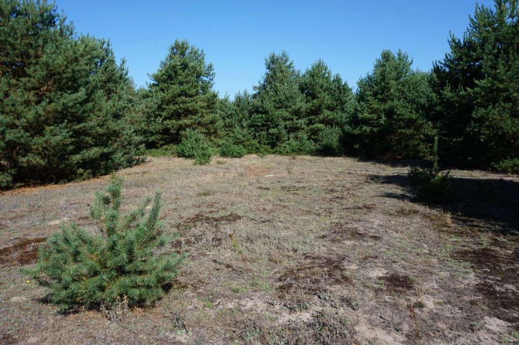 Działka budowlana 3071 m², Janiszów - zdjęcie 7