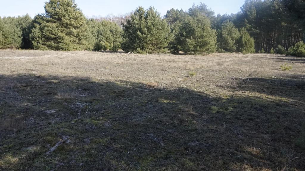 Działka budowlana 3071 m², Janiszów - zdjęcie 14