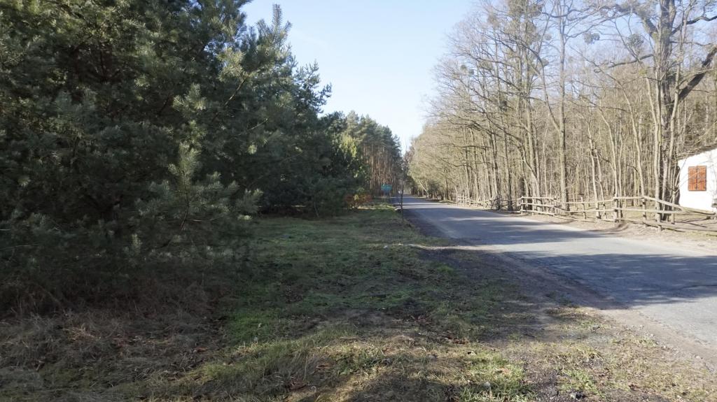 Działka budowlana 3071 m², Janiszów - zdjęcie 10