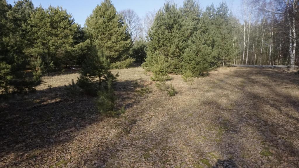 Działka budowlana 3071 m², Janiszów - zdjęcie 6