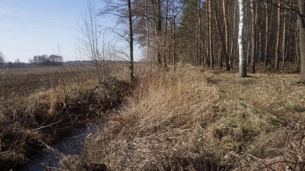 Działka budowlana 3071 m², Janiszów - zdjęcie 3