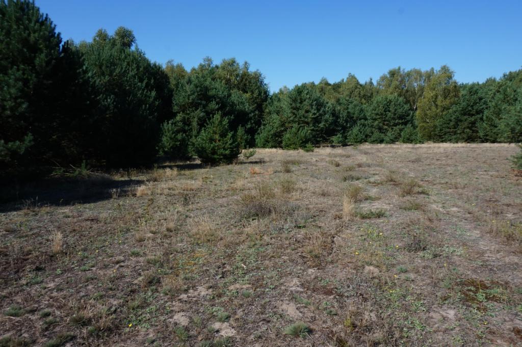 Działka budowlana 3071 m², Janiszów - zdjęcie 1