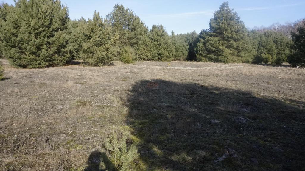 Działka budowlana 3071 m², Janiszów - zdjęcie 2