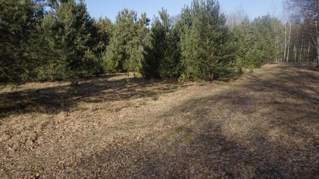 Działka budowlana 3071 m², Janiszów - zdjęcie 8