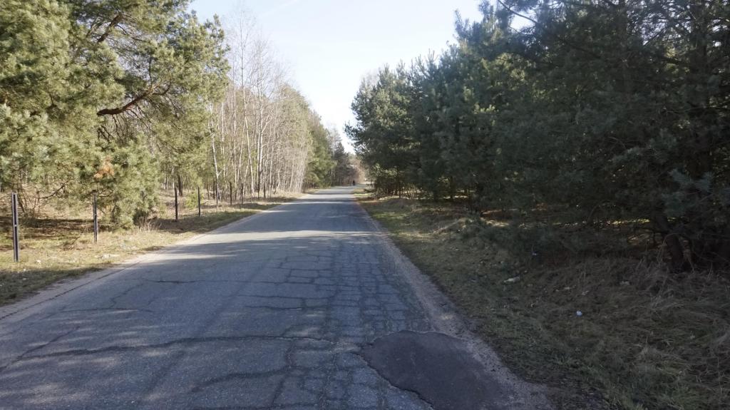 Działka budowlana 3071 m², Janiszów - zdjęcie 11