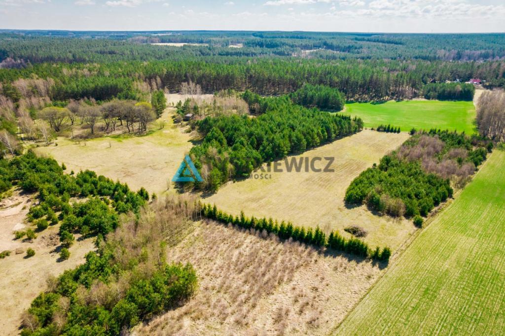 Duża działka siedliskowa na Kaszubach! - zdjęcie 10