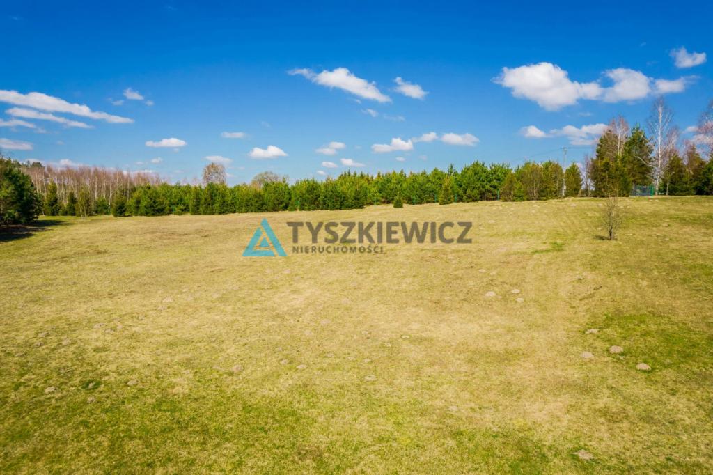 Duża działka siedliskowa na Kaszubach! - zdjęcie 17