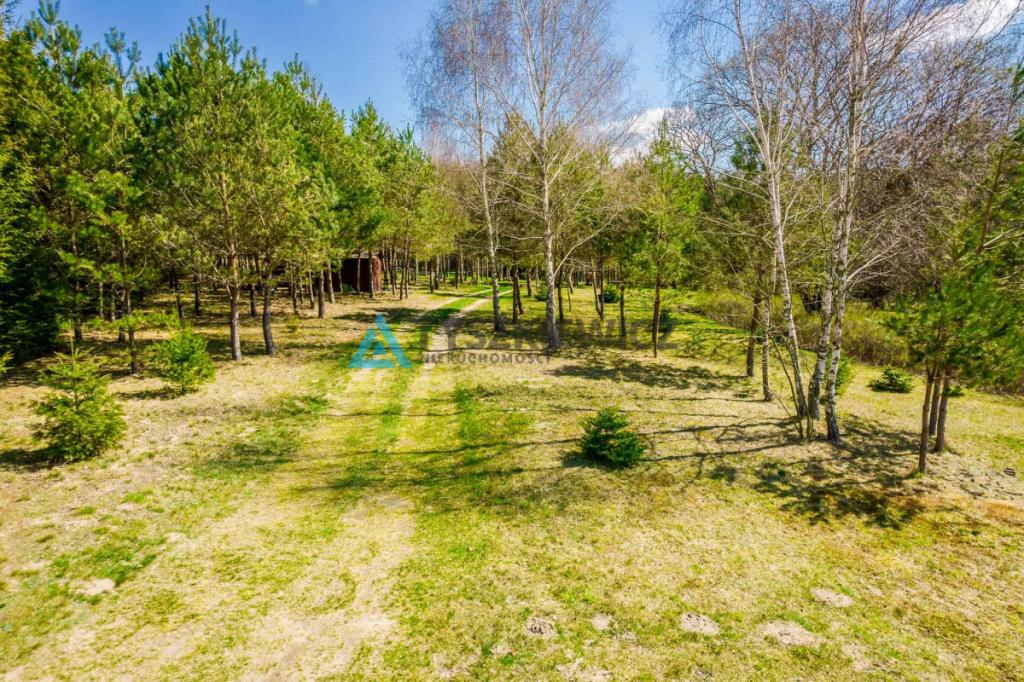 Duża działka siedliskowa na Kaszubach! - zdjęcie 14