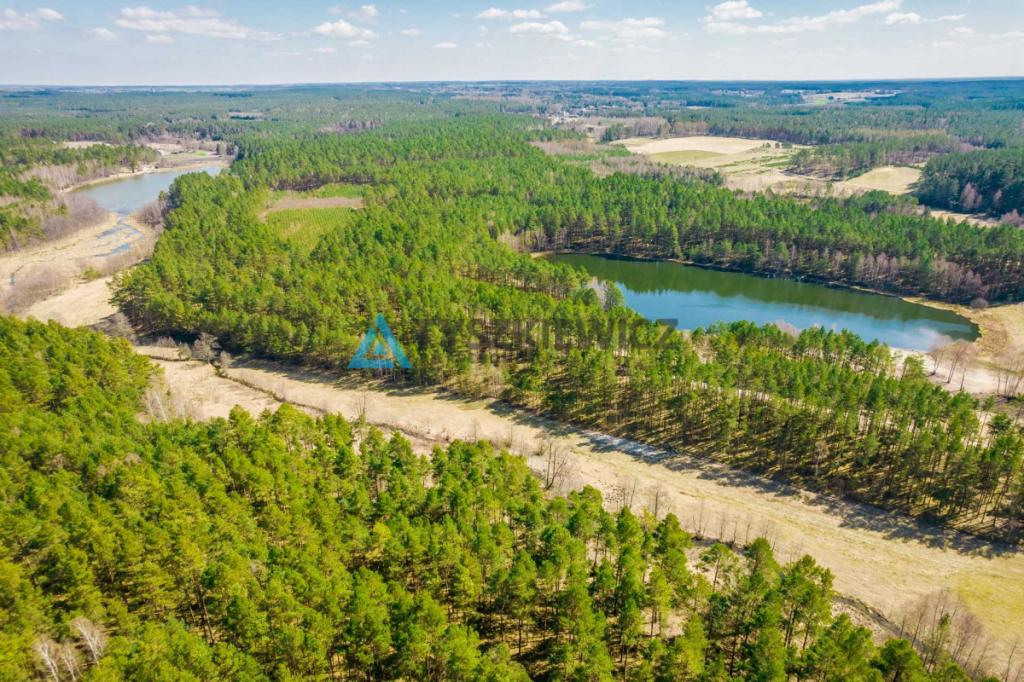 Duża działka siedliskowa na Kaszubach! - zdjęcie 6