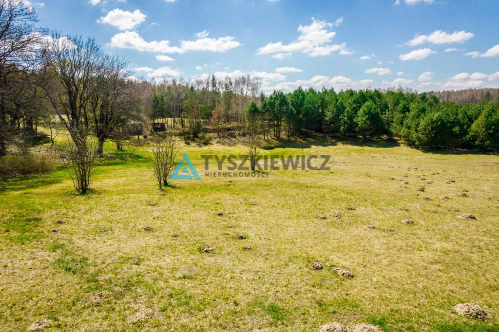 Duża działka siedliskowa na Kaszubach! - zdjęcie 13