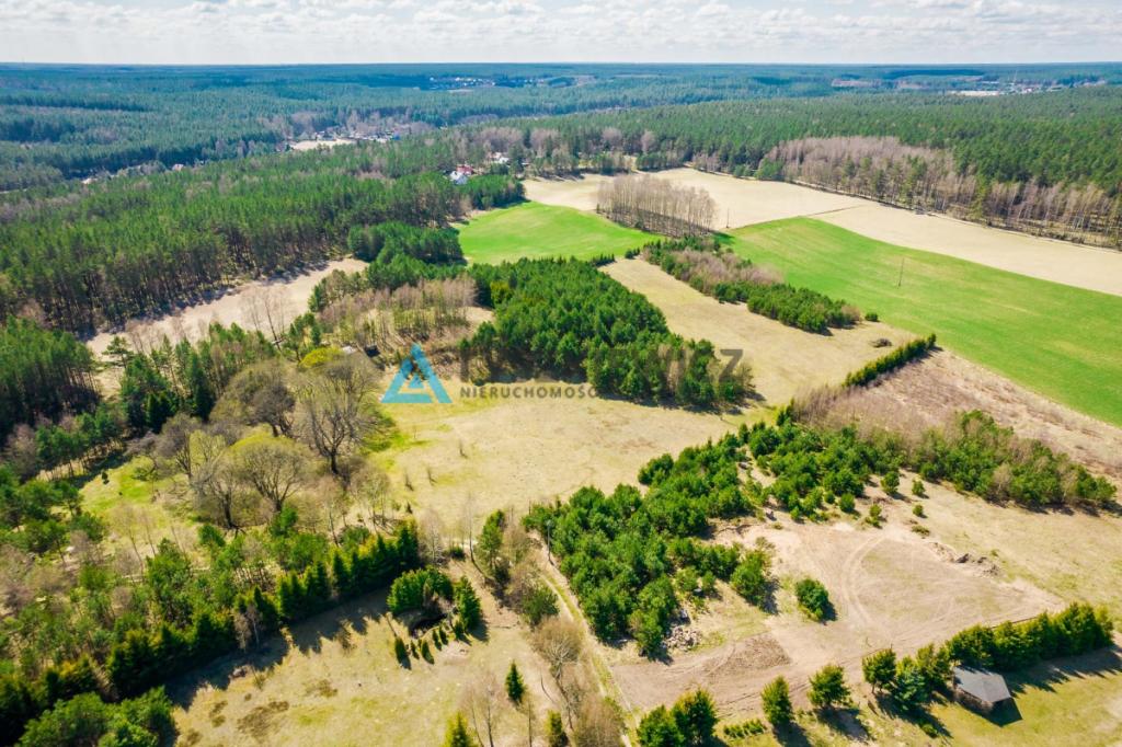 Duża działka siedliskowa na Kaszubach! - zdjęcie 12