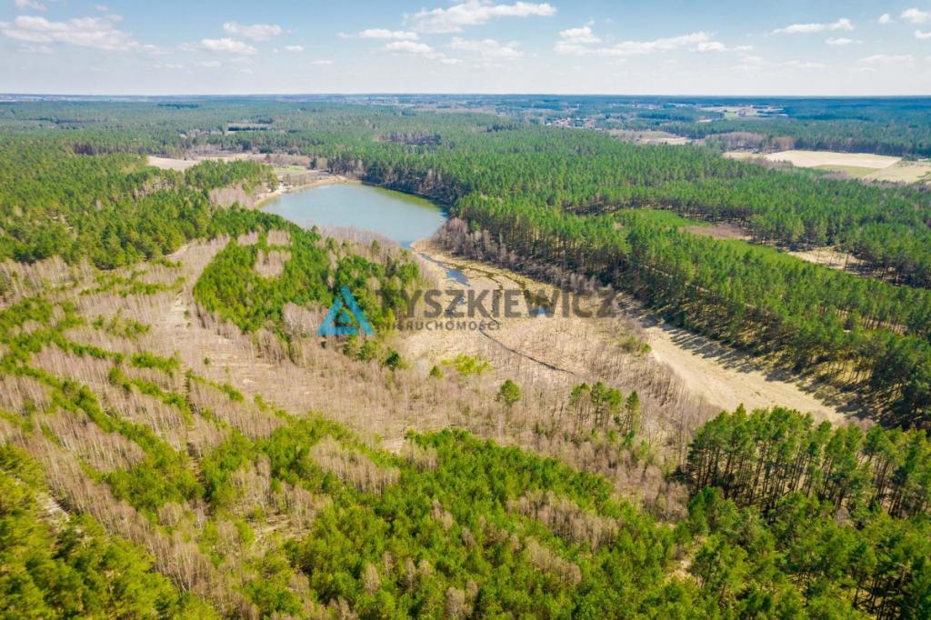 Duża działka siedliskowa na Kaszubach! - zdjęcie 3