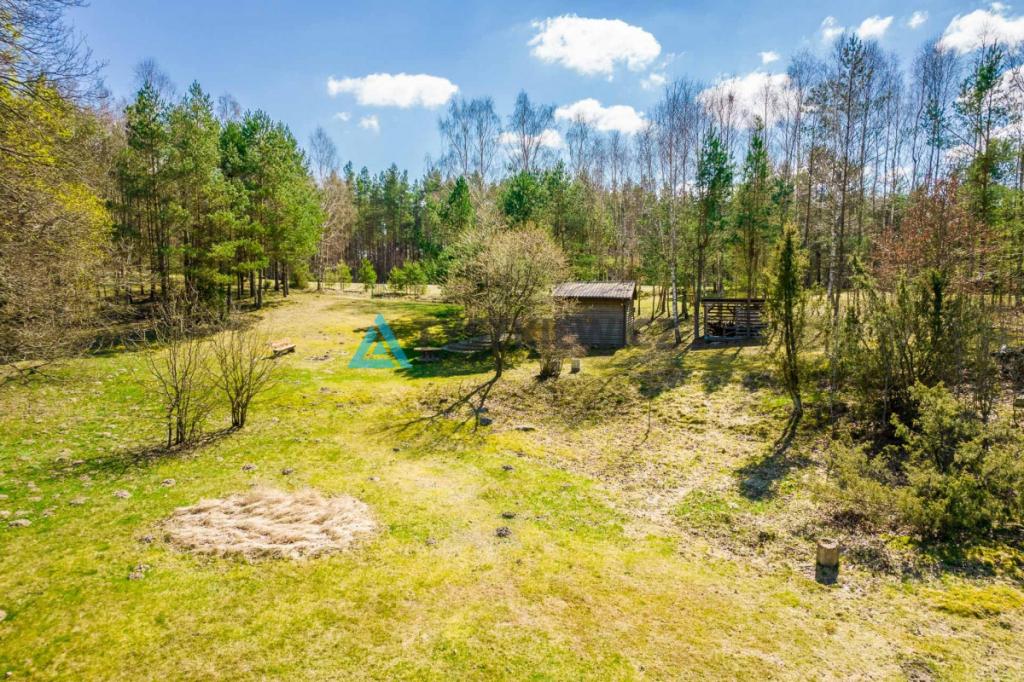Duża działka siedliskowa na Kaszubach! - zdjęcie 16