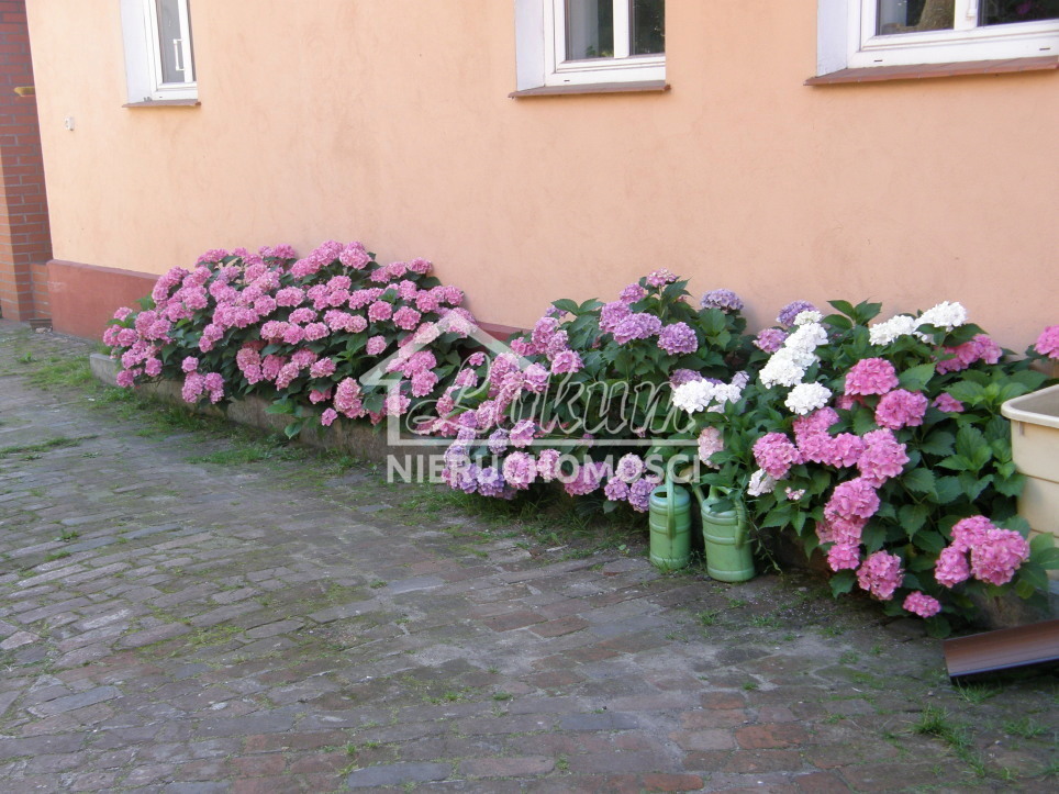 Dom 287,56 m², Sośnie - zdjęcie 9