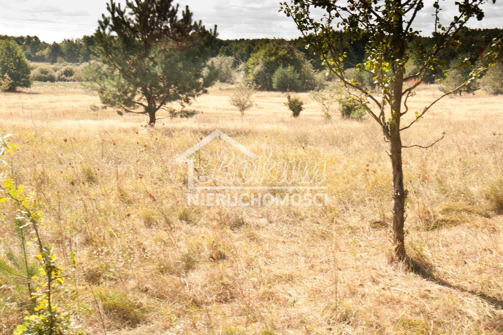 Działka budowlana 4700&nbsp;m², Warnowo - zdjęcie 9