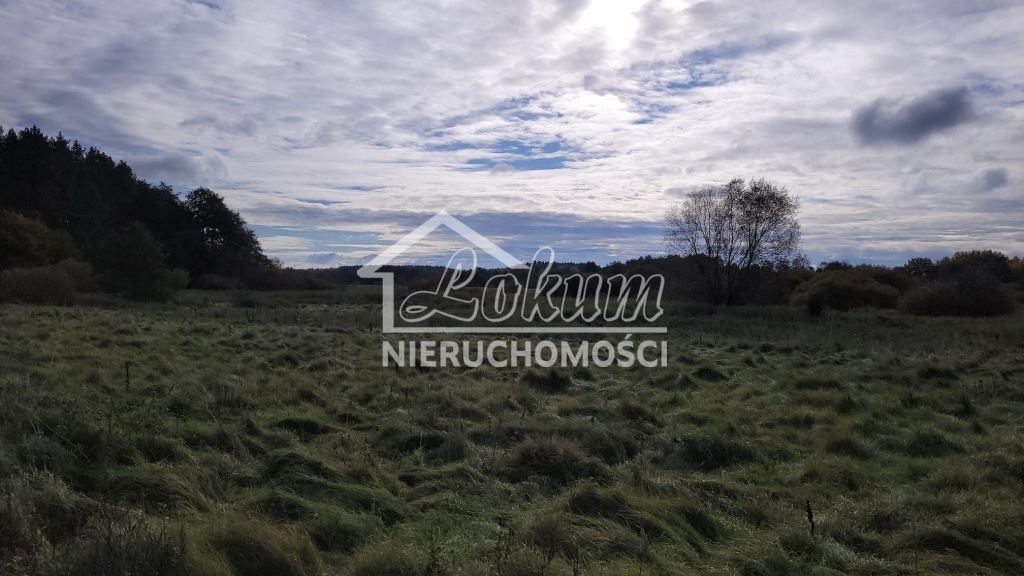 Działka budowlana 4700&nbsp;m², Warnowo - zdjęcie 6