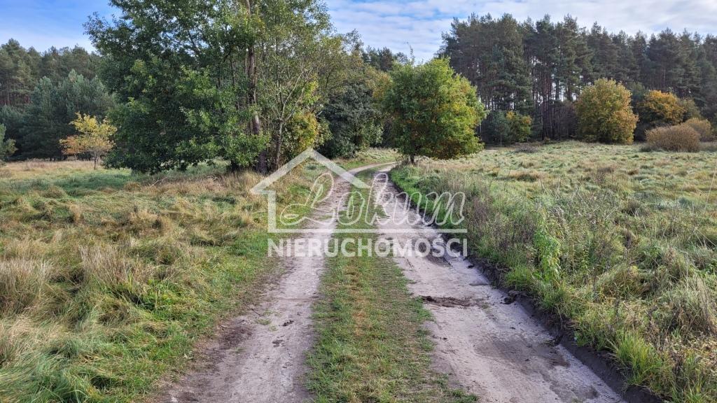 Działka budowlana 4700&nbsp;m², Warnowo - zdjęcie 5