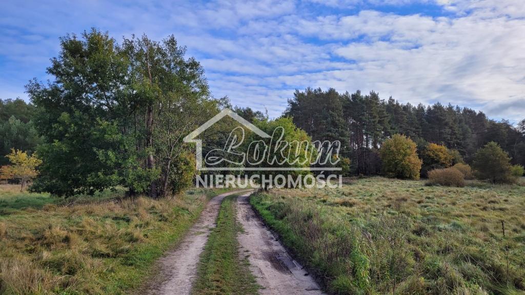 Działka budowlana 4700&nbsp;m², Warnowo - zdjęcie 1