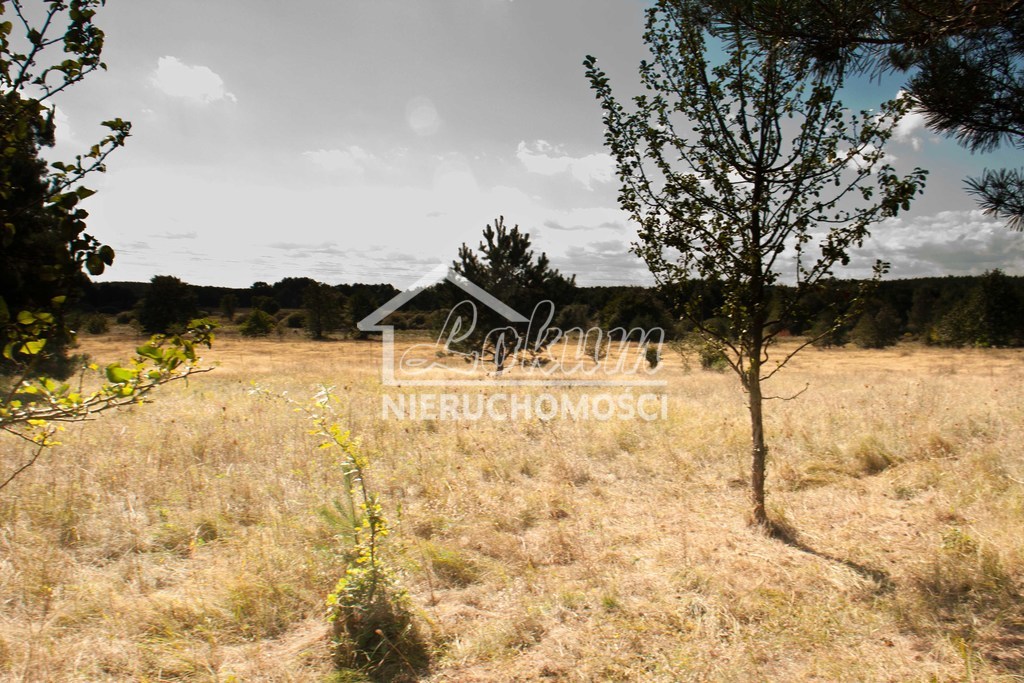 Działka budowlana 4700&nbsp;m², Warnowo - zdjęcie 8