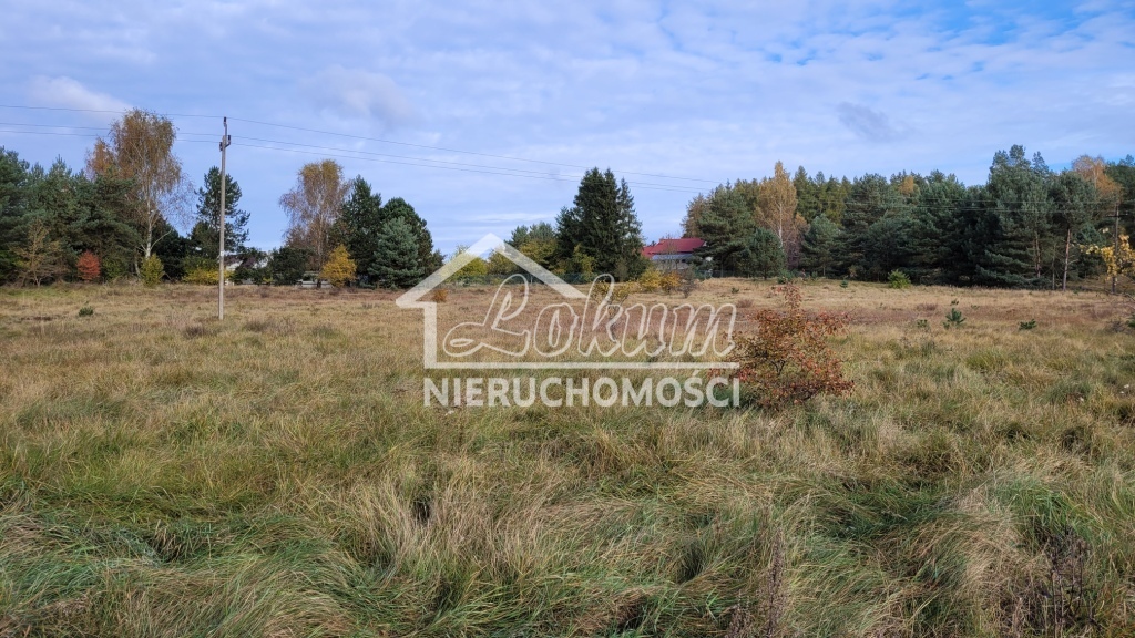 Działka budowlana 4700&nbsp;m², Warnowo - zdjęcie 3