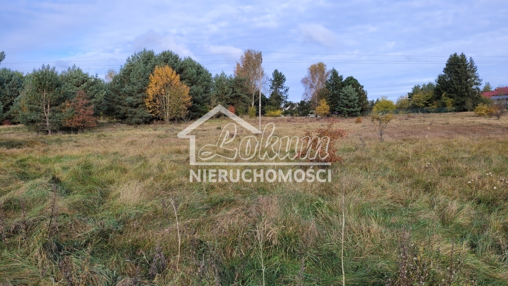 Działka budowlana 4700&nbsp;m², Warnowo - zdjęcie 2