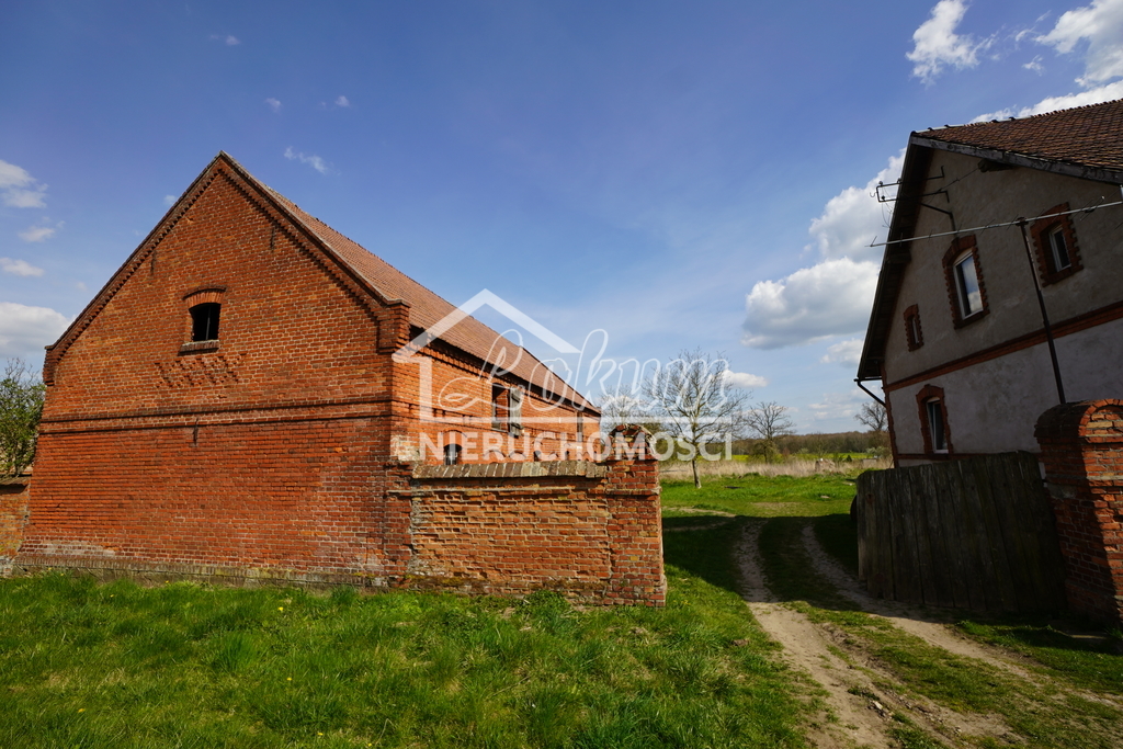 Dom 200&nbsp;m², Kozielice - zdjęcie 5