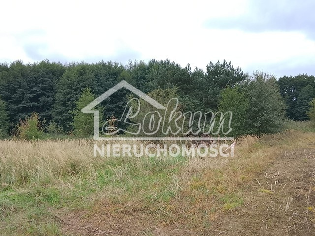 Działka budowlana 1492&nbsp;m², Stara Dąbrowa - zdjęcie 19