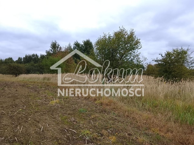 Działka budowlana 1492&nbsp;m², Stara Dąbrowa - zdjęcie 5