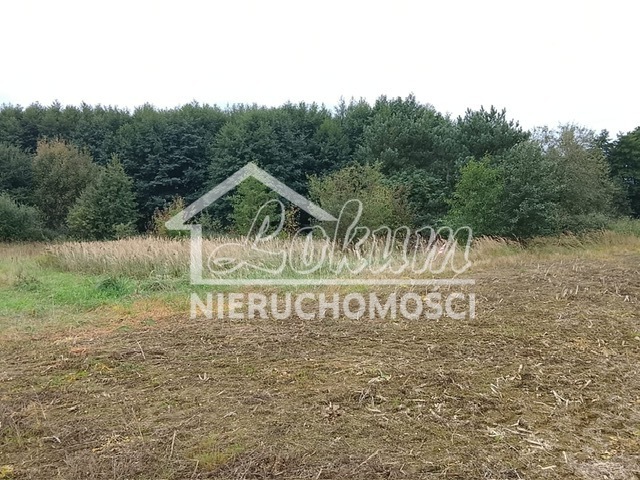 Działka budowlana 1492&nbsp;m², Stara Dąbrowa - zdjęcie 15