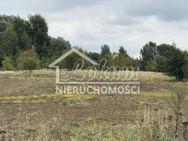 Działka budowlana 1492&nbsp;m², Stara Dąbrowa - zdjęcie 4