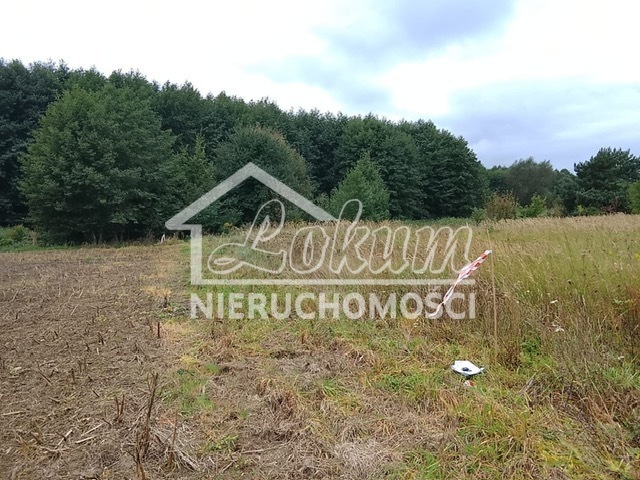 Działka budowlana 1492&nbsp;m², Stara Dąbrowa - zdjęcie 18