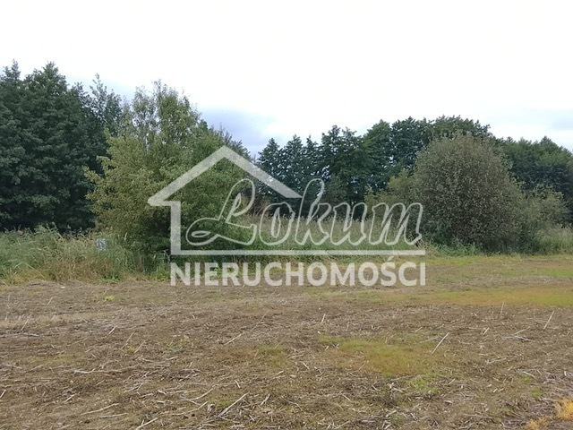 Działka budowlana 1492&nbsp;m², Stara Dąbrowa - zdjęcie 13
