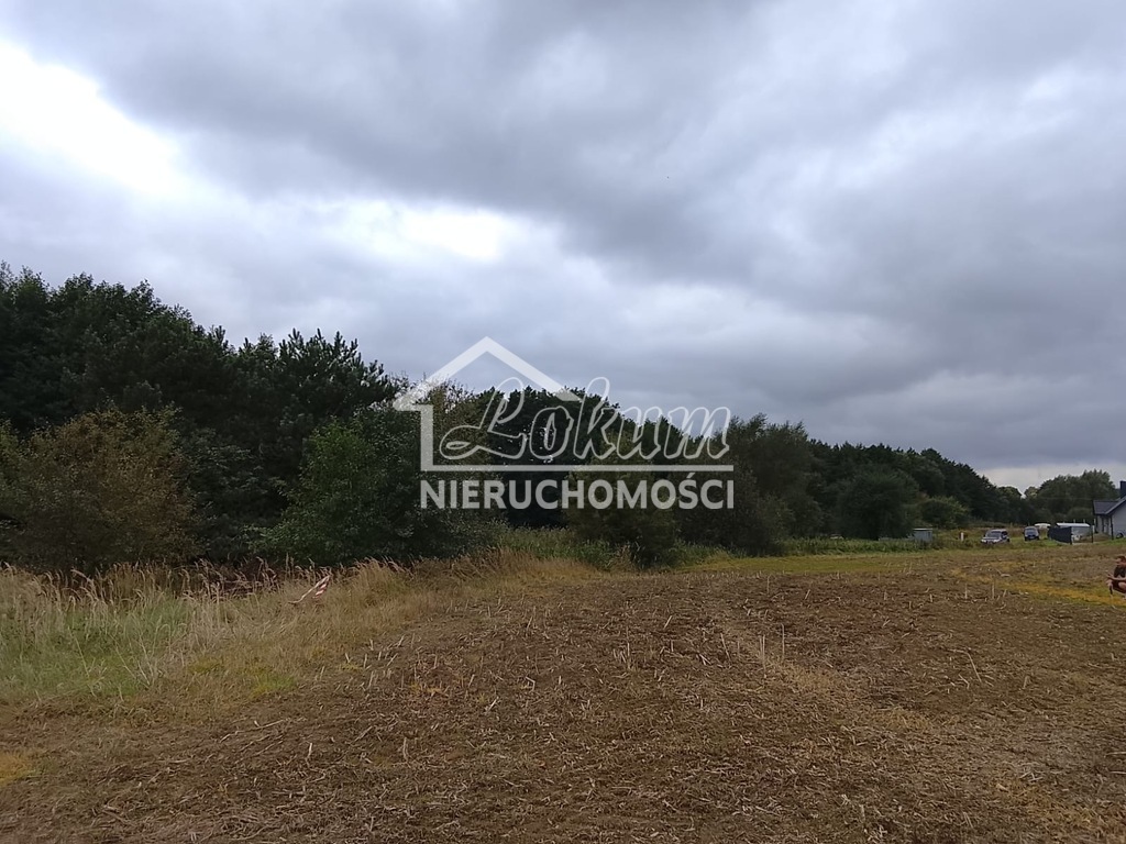 Działka budowlana 1492&nbsp;m², Stara Dąbrowa - zdjęcie 16