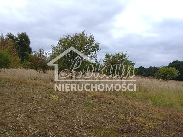 Działka budowlana 1492&nbsp;m², Stara Dąbrowa - zdjęcie 17
