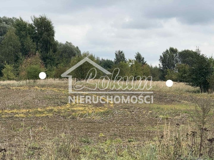 Działka budowlana 1492&nbsp;m², Stara Dąbrowa - zdjęcie 3