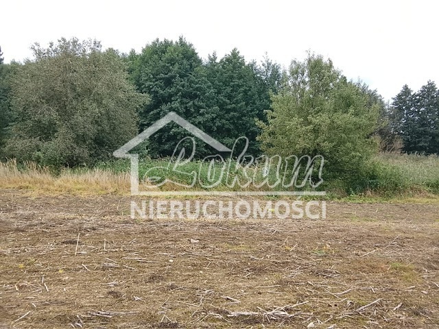 Działka budowlana 1492&nbsp;m², Stara Dąbrowa - zdjęcie 14