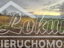 Działka budowlana 1492&nbsp;m², Stara Dąbrowa - zdjęcie 1
