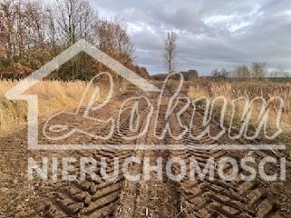 Działka budowlana 1492&nbsp;m², Stara Dąbrowa - zdjęcie 2