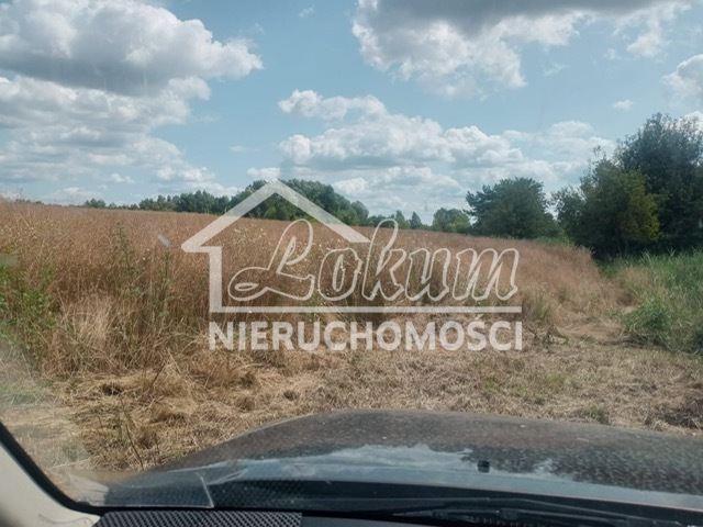 Działka budowlana 1492&nbsp;m², Stara Dąbrowa - zdjęcie 7
