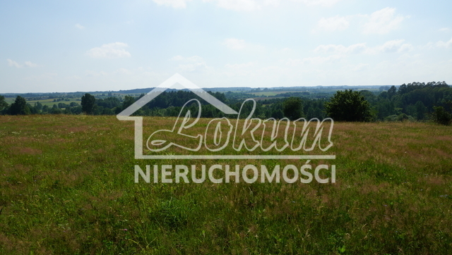 Działka rolna 1,08 ha, Bobolice - zdjęcie 7