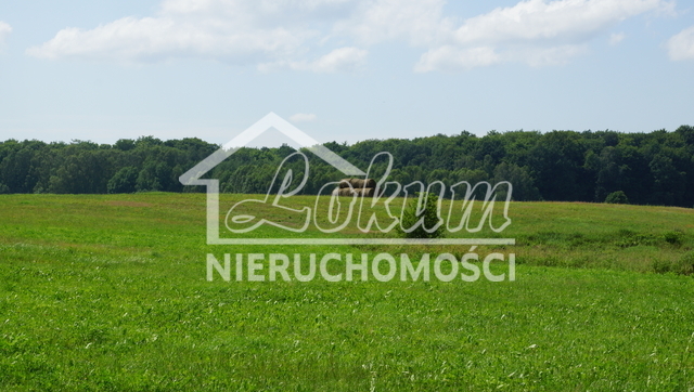 Działka rolna 2,31 ha, Bobolice - zdjęcie 1