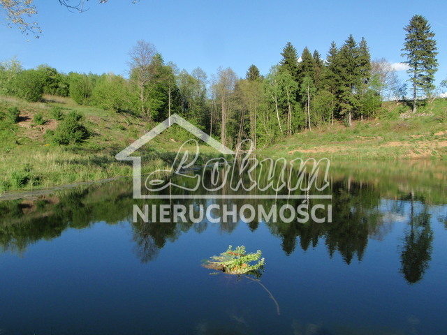 Działka rolna 2,31 ha, Bobolice - zdjęcie 13