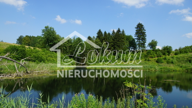 Działka rolna 2,31&nbsp;ha, Bobolice - zdjęcie 17