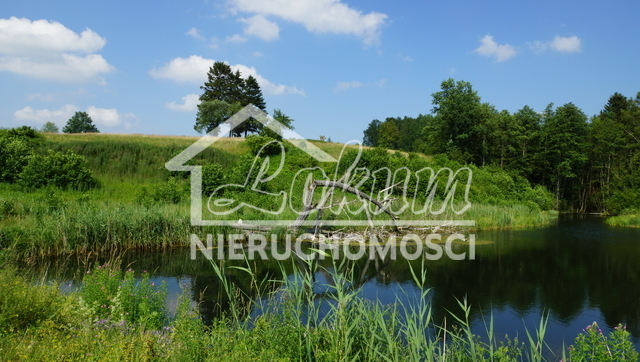 Działka rolna 2,31&nbsp;ha, Bobolice - zdjęcie 14