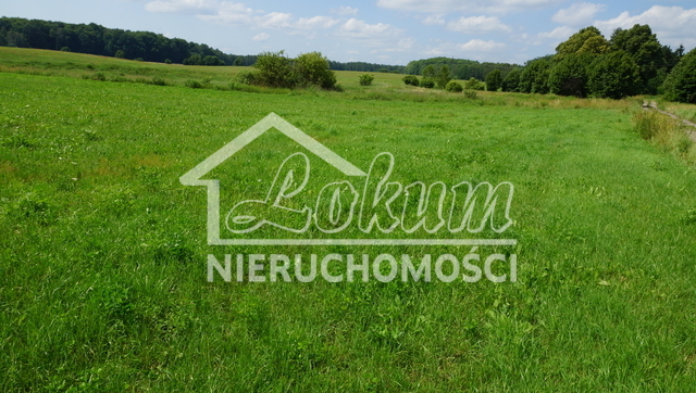 Działka budowlana 12,09 ha, Bobolice - zdjęcie 6
