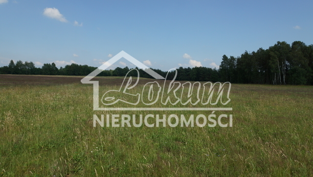 Działka budowlana 12,09 ha, Bobolice - zdjęcie 2